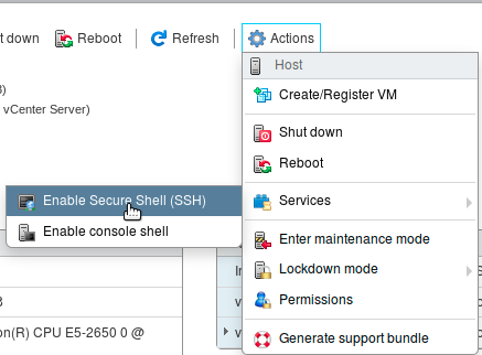 Enable SSH on the ESXi Host