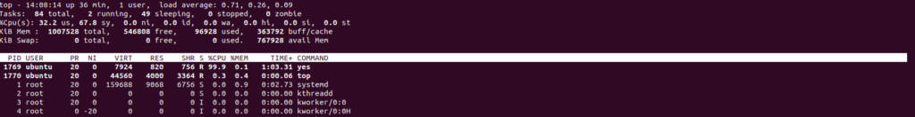 top command output